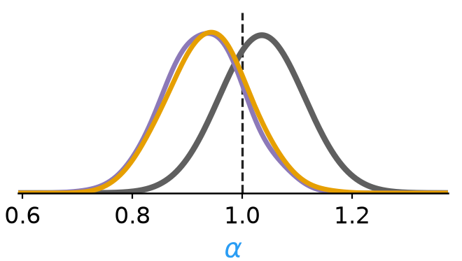 Posterior over alpha, latent path and filter