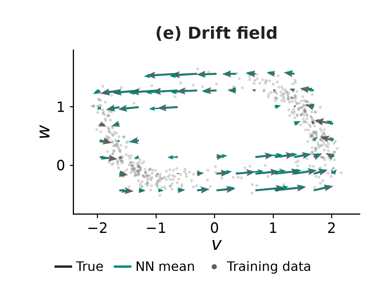 True FHN drift and final neural-network mean drift near the training observations, shown with a common arrow scale